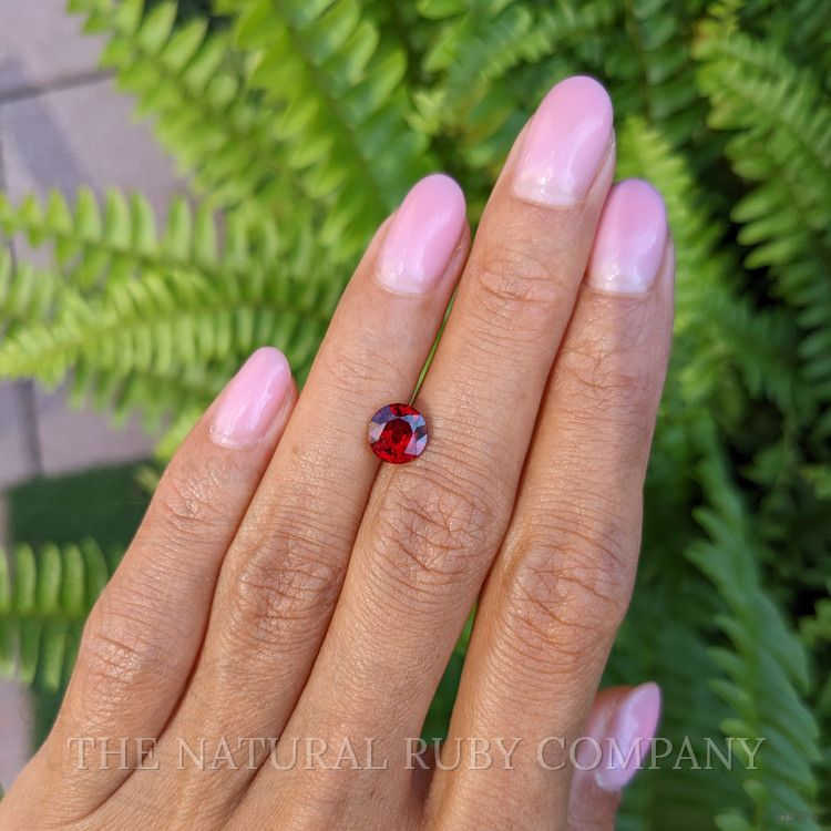 1.64 Ct. Ruby from Mozambique