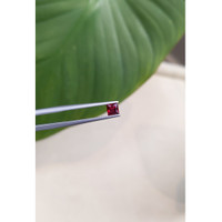 0.36 Ct. Ruby from Mozambique Life Style
