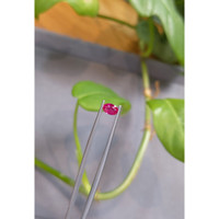 0.58 Ct. Ruby from Burma (Myanmar) Life Style