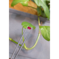 0.53 Ct. Ruby from Burma (Myanmar) Life Style