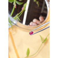 0.46 Ct. Ruby from Burma (Myanmar) Life Style