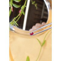 0.51 Ct. Ruby from Burma (Myanmar) Life Style