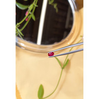 0.50 Ct. Ruby from Burma (Myanmar) Life Style