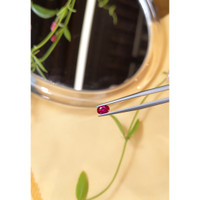 0.50 Ct. Ruby from Burma (Myanmar) Life Style