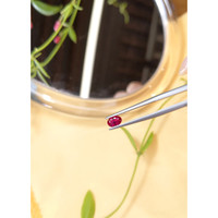 0.49 Ct. Ruby from Burma (Myanmar) Life Style
