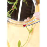 0.55 Ct. Ruby from Burma (Myanmar) Life Style