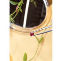 0.55 Ct. Ruby from Burma (Myanmar) Life Style