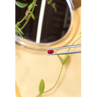 0.59 Ct. Ruby from Burma (Myanmar) Life Style