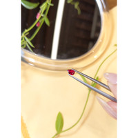 0.42 Ct. Ruby from Thailand Life Style