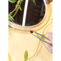 0.42 Ct. Ruby from Thailand Life Style