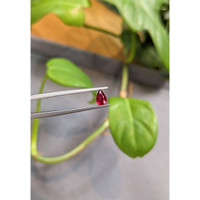 0.44 Ct. Ruby from Thailand Life Style