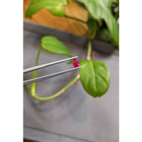 0.41 Ct. Ruby from Burma (Myanmar) Life Style