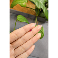 0.41 Ct. Ruby from Burma (Myanmar) Life Style