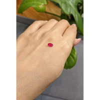 0.60 Ct. Ruby from Burma (Myanmar) Life Style