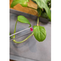 0.67 Ct. Ruby from Burma (Myanmar) Life Style