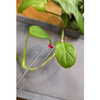 0.72 Ct. Ruby from Burma (Myanmar) Life Style