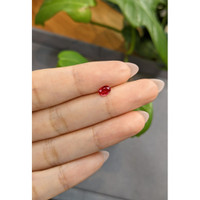 0.50 Ct. Ruby from Burma (Myanmar) Life Style