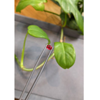 0.50 Ct. Ruby from Burma (Myanmar) Life Style