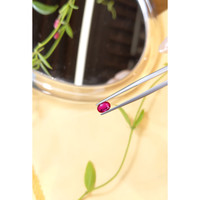 0.50 Ct. Ruby from Burma (Myanmar) Life Style