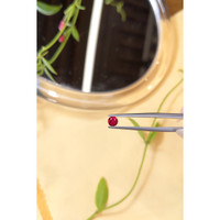 0.33 Ct. Ruby from Mozambique Life Style