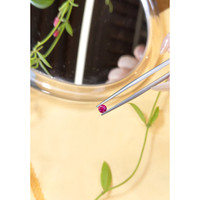 0.35 Ct. Ruby from Mozambique Life Style