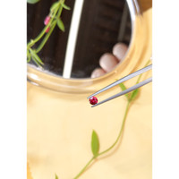 0.34 Ct. Ruby from Mozambique Life Style