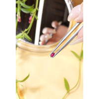 0.25 Ct. Ruby from Mozambique Life Style