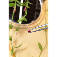 0.31 Ct. Ruby from Mozambique Life Style
