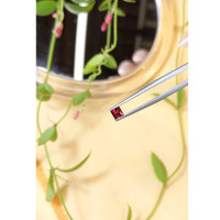 0.36 Ct. Ruby from Mozambique Life Style