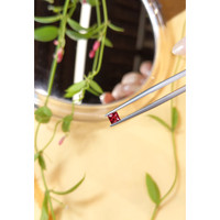 0.34 Ct. Ruby from Mozambique Life Style