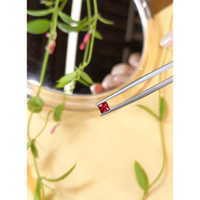 0.34 Ct. Ruby from Mozambique Life Style