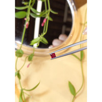 0.41 Ct. Ruby from Mozambique Life Style