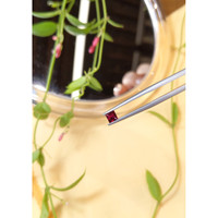 0.33 Ct. Ruby from Mozambique Life Style