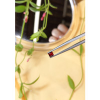 0.36 Ct. Ruby from Mozambique Life Style