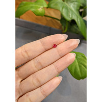 0.24 Ct. Ruby from Thailand Life Style