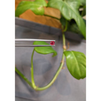 0.24 Ct. Ruby from Thailand Life Style