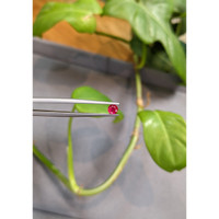 0.37 Ct. Ruby from Burma (Myanmar) Life Style