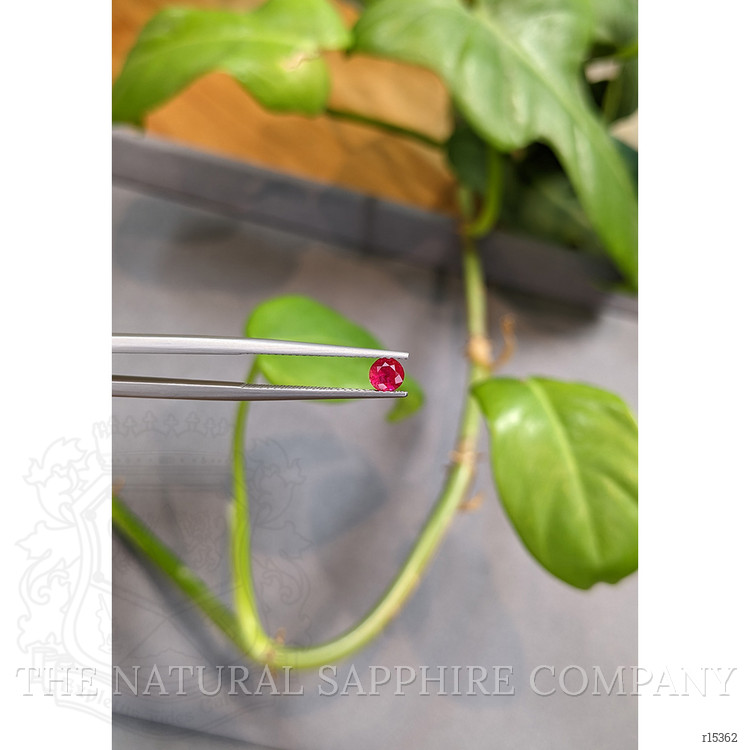 0.37 Ct. Ruby from Burma (Myanmar)