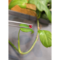 0.42 Ct. Ruby from Thailand Life Style