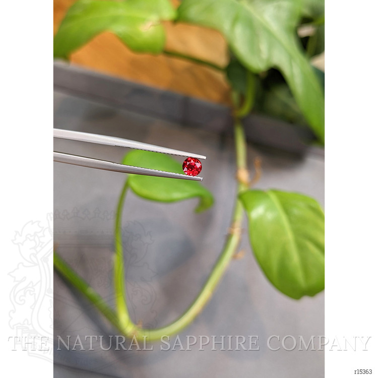 0.42 Ct. Ruby from Thailand