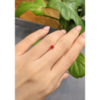 0.42 Ct. Ruby from Thailand Life Style