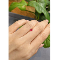 0.30 Ct. Ruby from Thailand Life Style