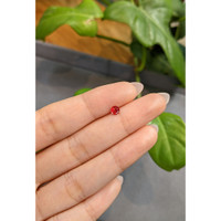 0.41 Ct. Ruby from Thailand Life Style