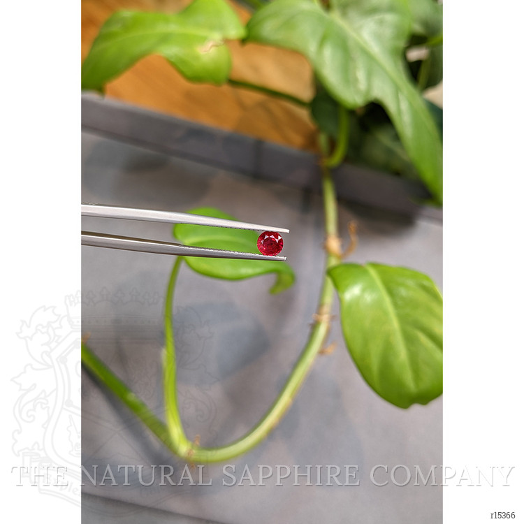 0.61 Ct. Ruby from Thailand