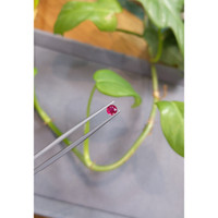 0.44 Ct. Ruby from Thailand Life Style