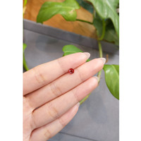 0.71 Ct. Ruby from Burma (Myanmar) Life Style