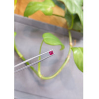 0.28 Ct. Ruby from Mozambique Life Style