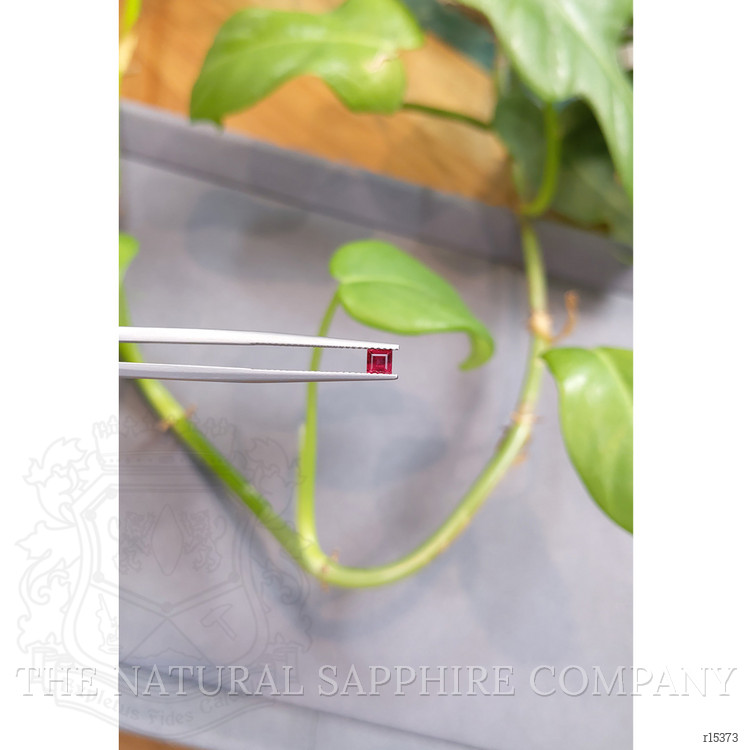 0.28 Ct. Ruby from Mozambique