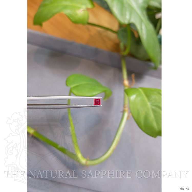 0.45 Ct. Ruby from Mozambique