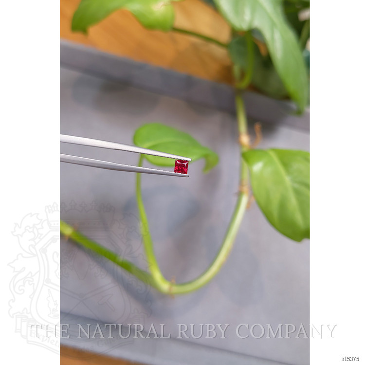 0.31 Ct. Ruby from Mozambique